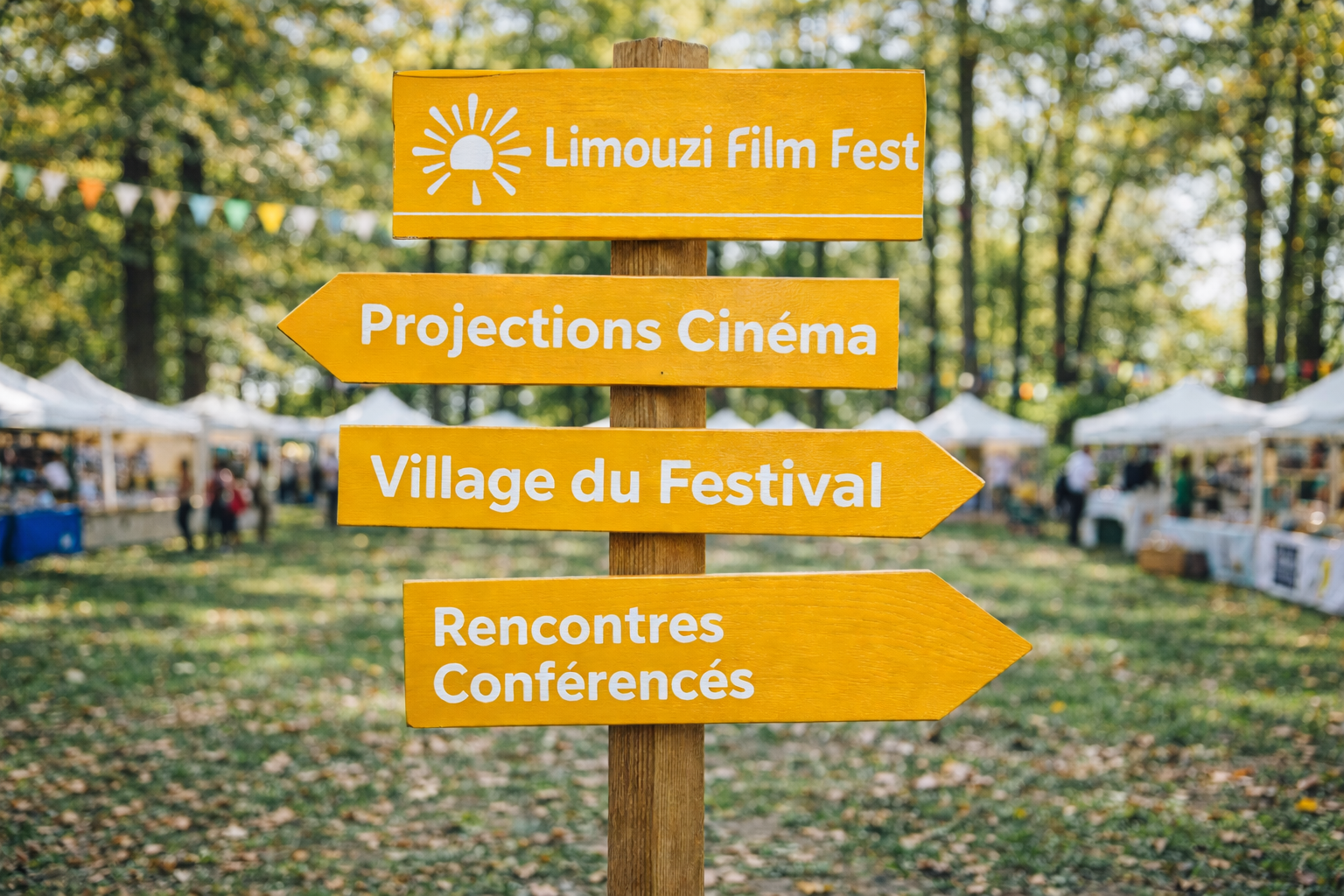 image signalétique LFF