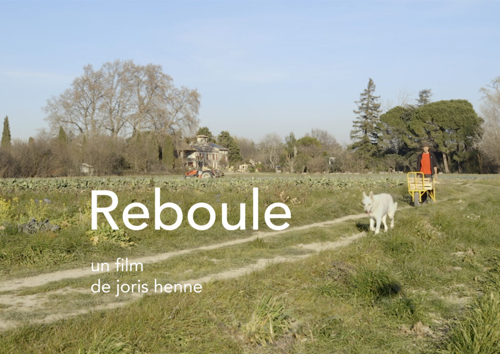 affiche reboule